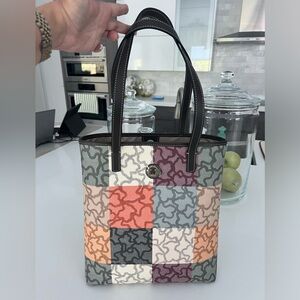 Tous Cuadros Tote and Wallet Set